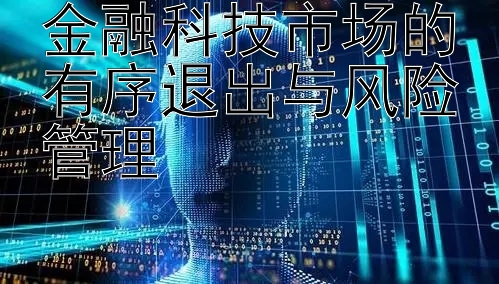 金融科技市场的有序退出与风险管理