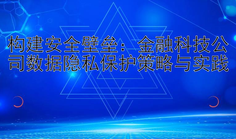 构建安全壁垒：金融科技公司数据隐私保护策略与实践