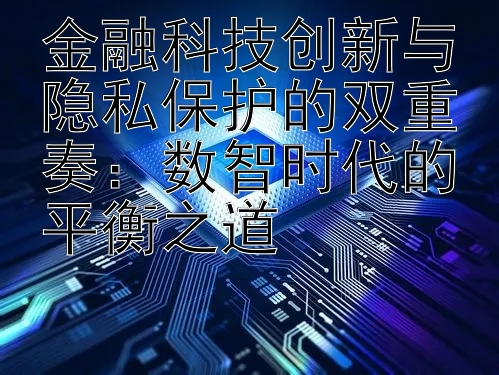 金融科技创新与隐私保护的双重奏：数智时代的平衡之道