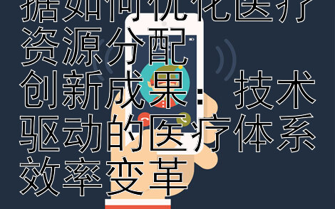 智能调配：大数据如何优化医疗资源分配  创新成果：技术驱动的医疗体系效率变革