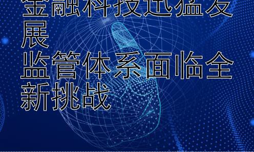 金融科技迅猛发展  
监管体系面临全新挑战