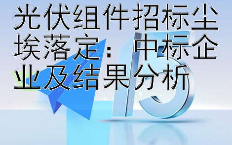 光伏组件招标尘埃落定：中标企业及结果分析